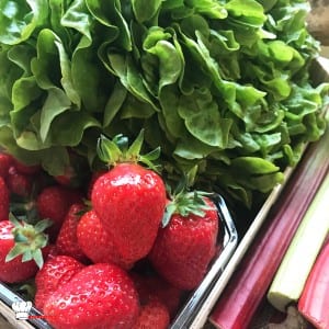 Potager City Livraison de Paniers Fruits & Légumes